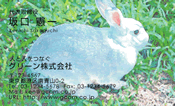 動物002