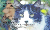 動物008