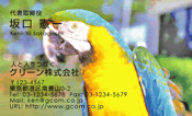 動物002