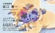 動物003