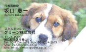 動物009