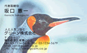 動物002