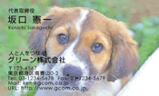 動物005