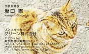 動物006