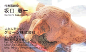 動物007