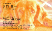 動物001