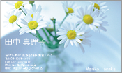 自然・植物001