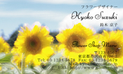 自然・植物003