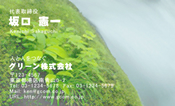 自然・植物004