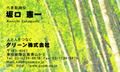 自然・植物009