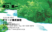 自然・植物004