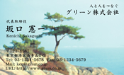 自然・植物008