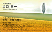自然・植物008