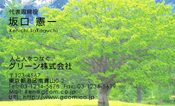 自然・植物004