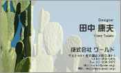 自然・植物001