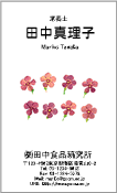 自然・植物009