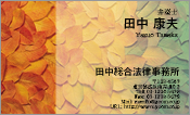 自然・植物009