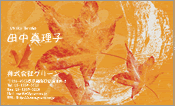 自然・植物004