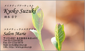 自然・植物003