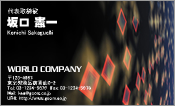 CG007